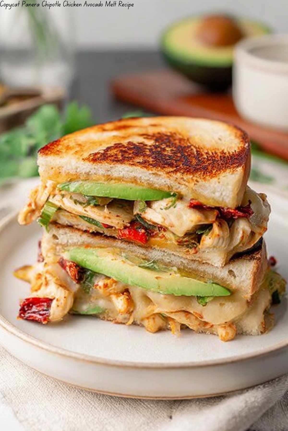 Copycat Panera Chipotle Chicken Avocado Melt Recipe