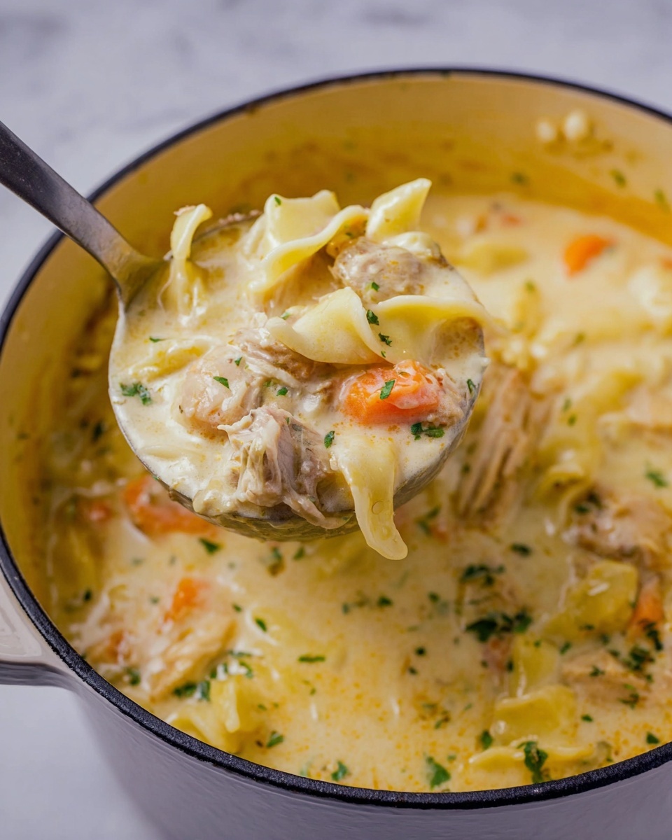 Cracker Barrel Chicken and Dumplings Recipe - Recipe Image