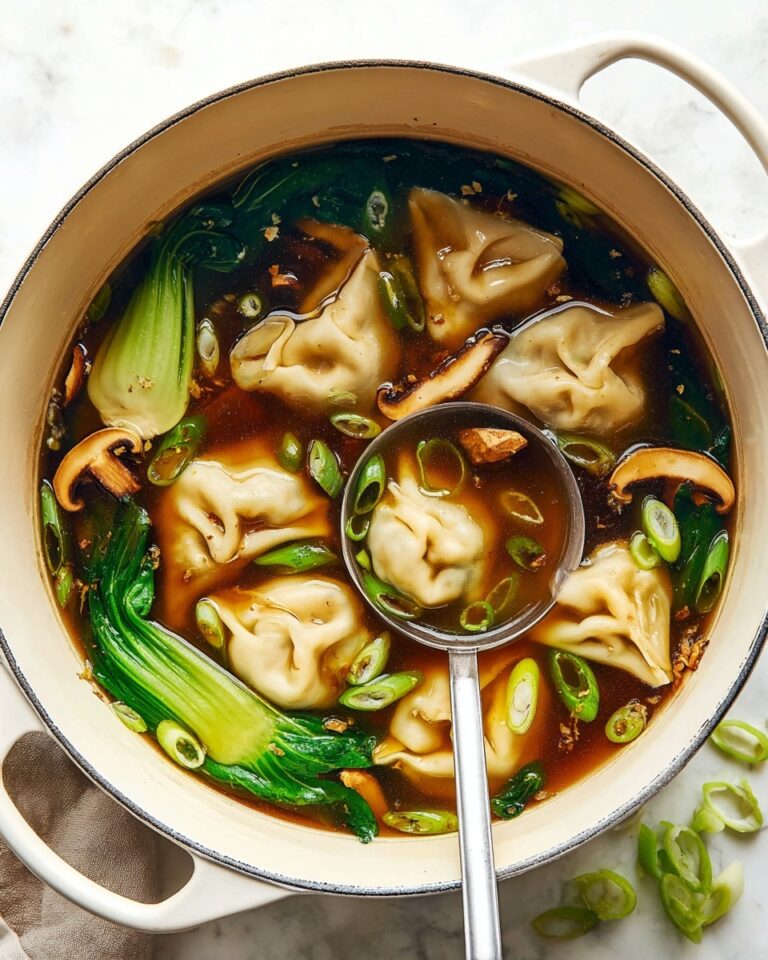 Potsticker Soup Recipe